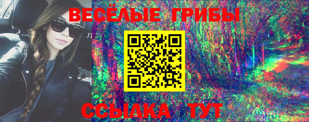 Галлюциногенные грибы MAGIC MUSHROOMS  Вход с VPN  Каспийск  Псилоцибиновые грибы Psilocybine cubensis 