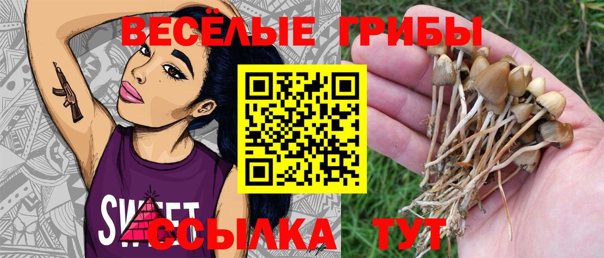 Галлюциногенные грибы MAGIC MUSHROOMS Каспийск